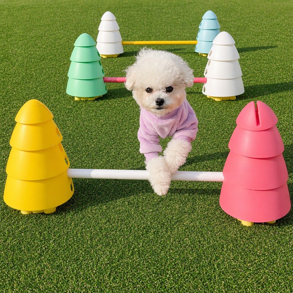 Dog Agility Equipment Set for recreational dog training spaces