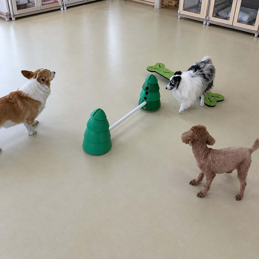 Dog Agility Training Set outdoor equipment for pet obstacle course projects