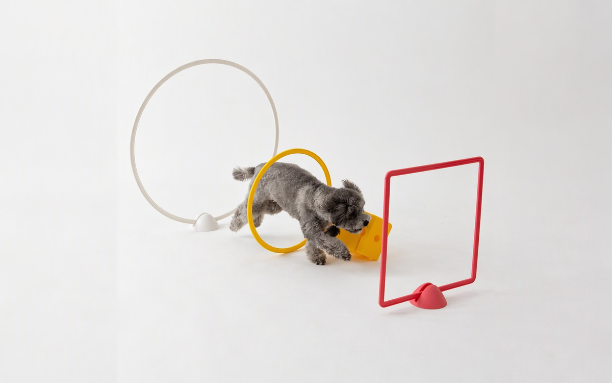 Dog Obstacle Courses product reference for indoor pet training and recreational layouts