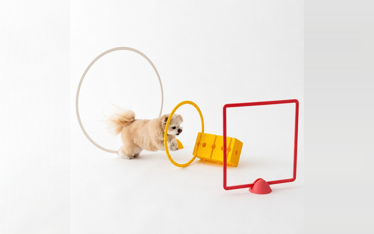 Dog Agility Kits product reference for customized dog park and pet activity zones
