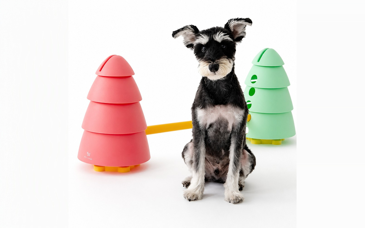 Dog Agility Training Set for interactive pet obstacle and balance training