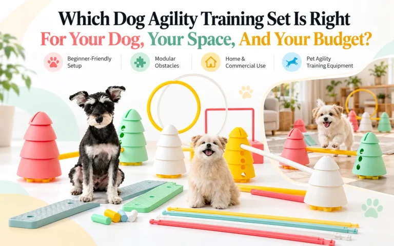 Which Dog Agility Training Set Is Right For Your Dog, Your Space, And Your Budget